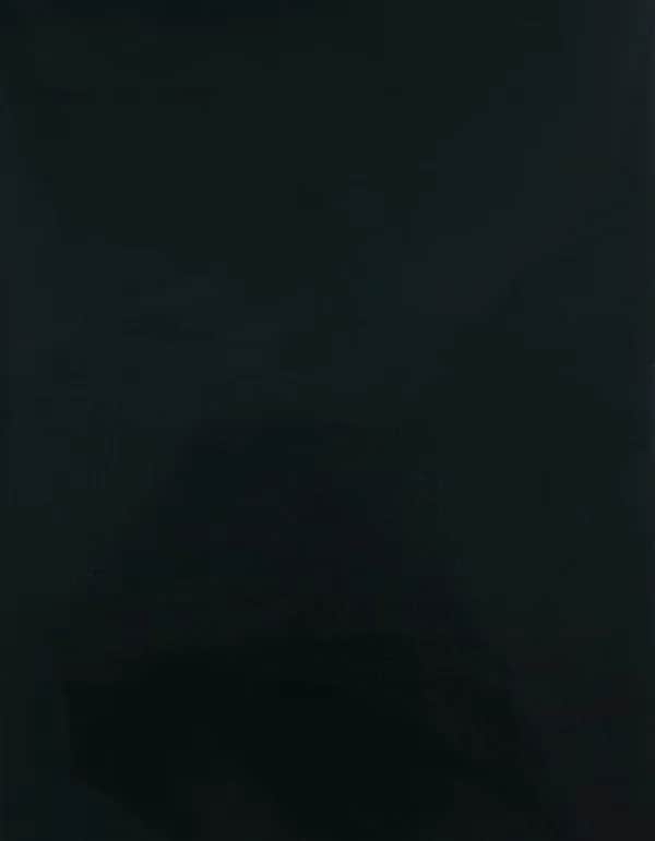 CAD-CUT® SportsFilm - Dark Green 410 (ca. Pantone 560C)