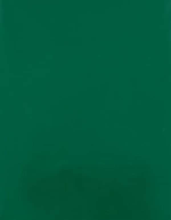 CAD-CUT® SportsFilm - Green 400 (ca. Pantone 7727C)