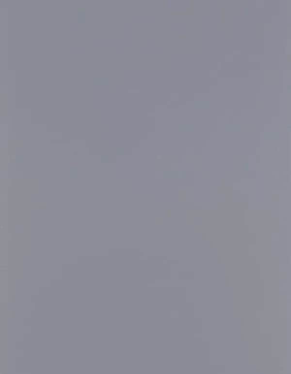 CAD-CUT® SportsFilm - Grey 730 (ca. Pantone 7543C)