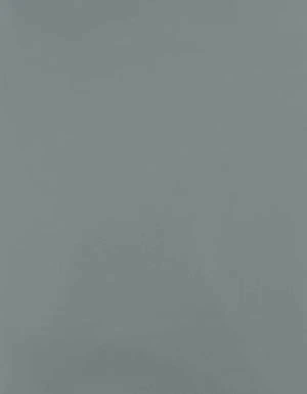 CAD-CUT® SportsFilm - Iceberg Green 424 (ca. Pantone 443C)