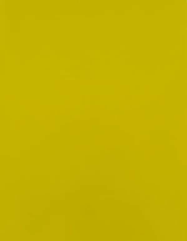 CAD-CUT® SportsFilm - Lemon 100 (ca. Pantone 7405C)