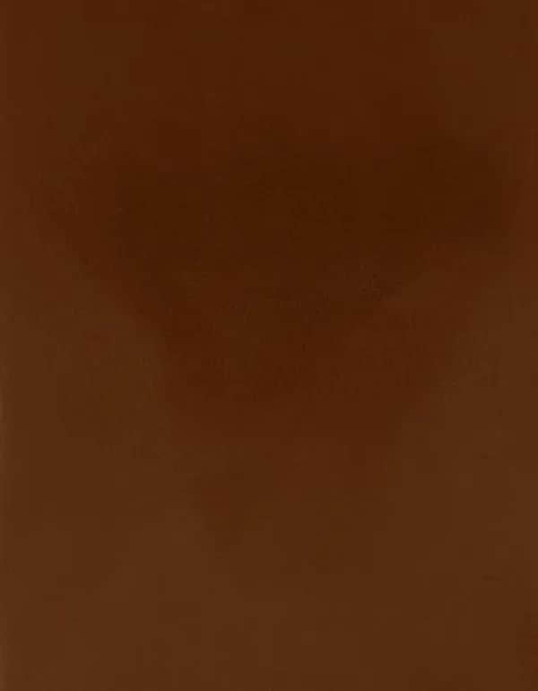 CAD-CUT® SportsFilm - Medium Brown 555 (ca. Pantone 2472C)