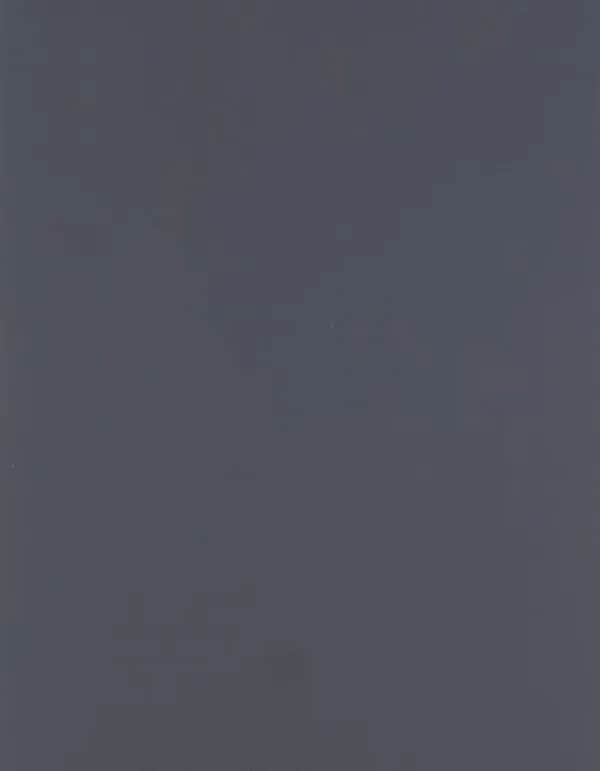 CAD-CUT® SportsFilm - Mid Grey 740 (ca. Pantone Cool Gray 10C)