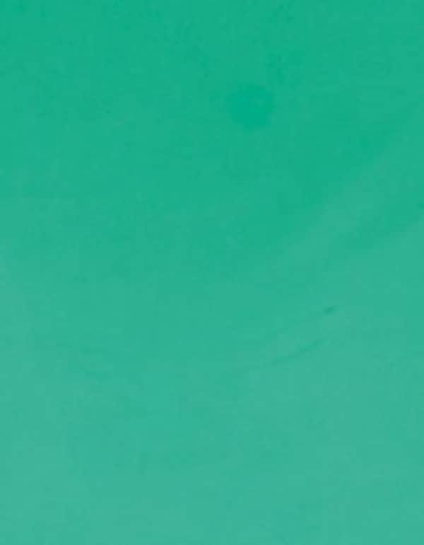 CAD-CUT® SportsFilm - Mint 419 (ca. Pantone 339C)