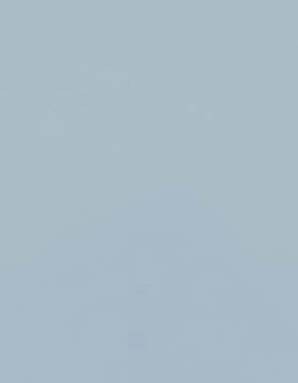 CAD-CUT® SportsFilm - Pastel Blue 321 (ca. Pantone 538C)