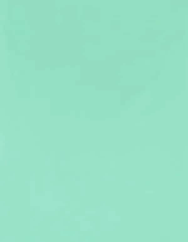 CAD-CUT® Premium Plus - Pastel Mint 370 (ca. Pantone 317C)