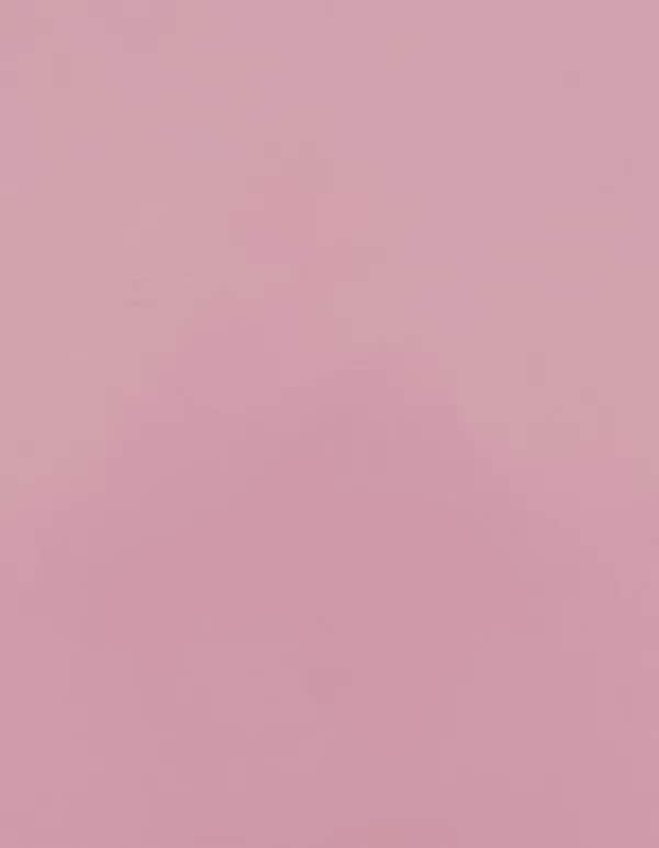 CAD-CUT® Premium Plus - Rose Pink 256 (ca. Pantone 694 C)