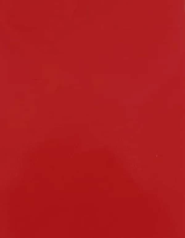 CAD-CUT® SportsFilm - Signal Red 210 (ca. Pantone 185C)