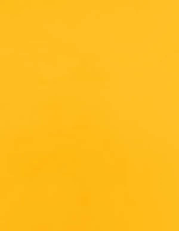 CAD-CUT® SportsFilm - Sunflower Yellow 106 (ca. Pantone 137C)