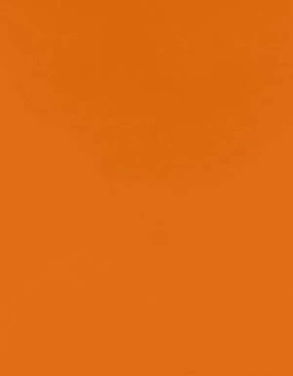 CAD-CUT® SportsFilm - Texas Orange 182 (ca. Pantone 4013C)