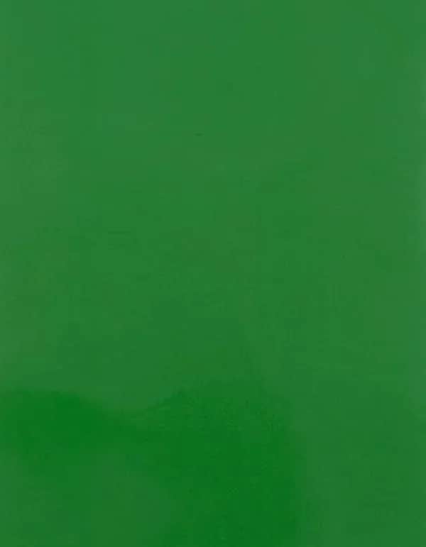 CAD-CUT® SportsFilm - Light Green 422 (ca. Pantone 362C)