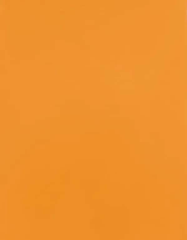 CAD-CUT® Premium Plus Sublistop - Light Orange 185 (ca. Pantone 1495C)