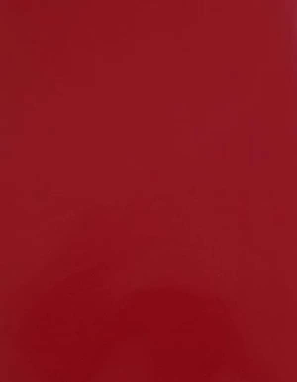 CAD-CUT® SportsFilm - Red 200 (ca. Pantone 186C)