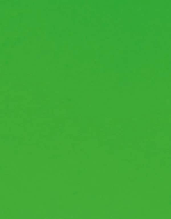 CAD-CUT® Flock - Neon Green 401