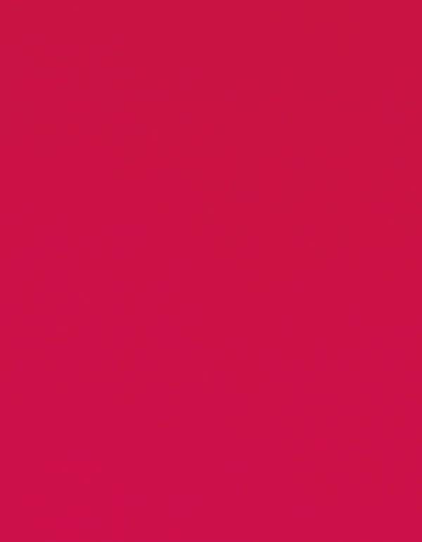 CAD-CUT® Flock - Neon Pink 241