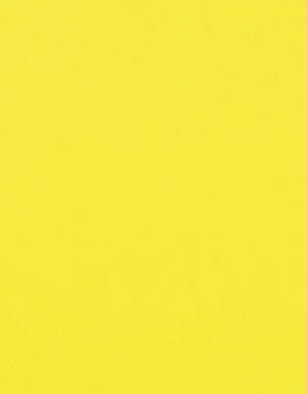 CAD-CUT® Flock - Neon Yellow 101