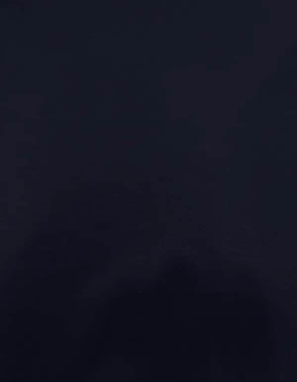 CAD-CUT® Premium Plus - Navy 350 (ca. Pantone 532C)