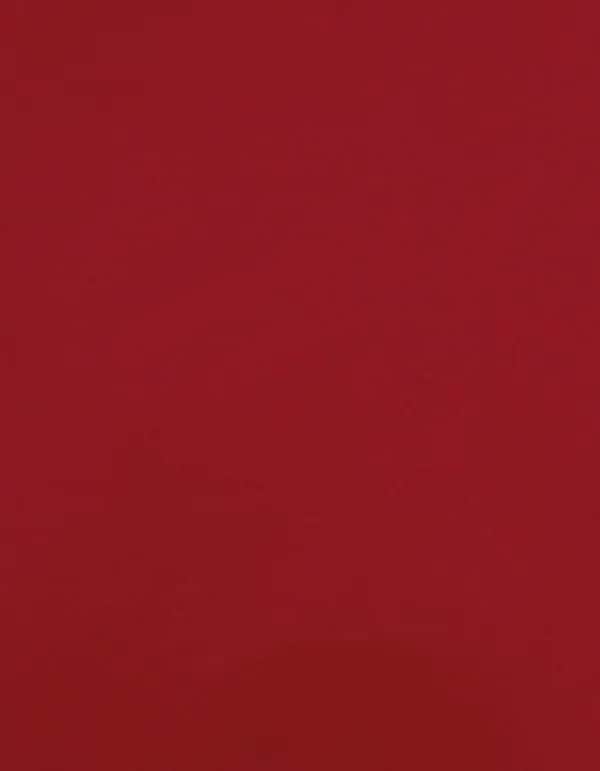 CAD-CUT® Premium Plus - Red 200 (ca. Pantone 186C)