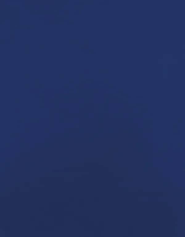 CAD-CUT® Basic Film - Royal Blue 300 (ca. Pantone 286C)