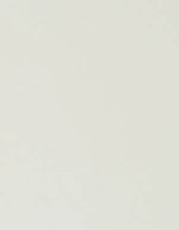 CAD-CUT® Basic Film - White 001