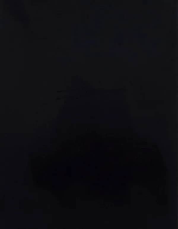 CAD-CUT® Silicone 500 - Black 700