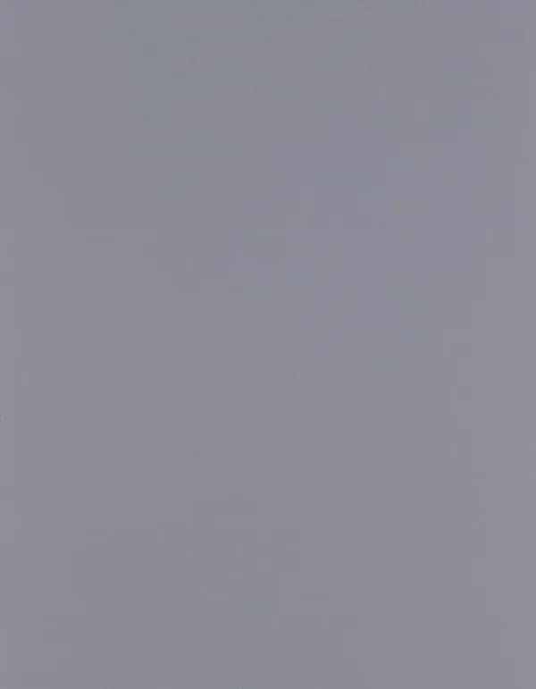 CAD-CUT® Silicone 500 - Grey 730 (ca. Pantone 422C)