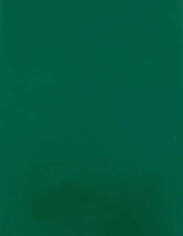 CAD-CUT® Silicone 500 - Green 400 (ca. Pantone 7727C)