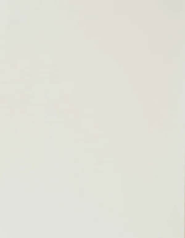 CAD-CUT® Silicone 200 - White 001
