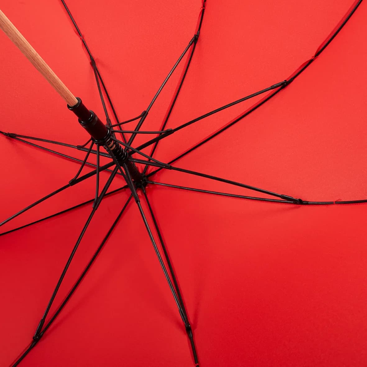Gastschirm TIMBER - rot