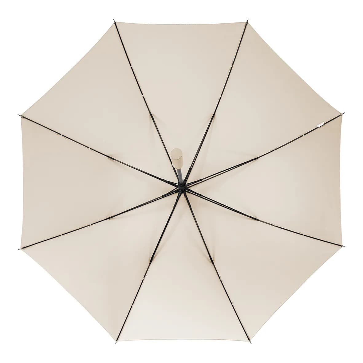 Gastschirm PLAINE - creme