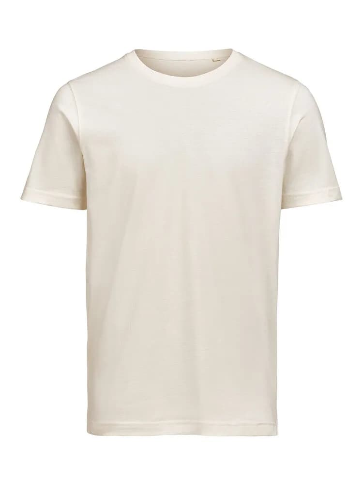 UM T-Shirt (OCS)  Regular Fit Unisex - Birch