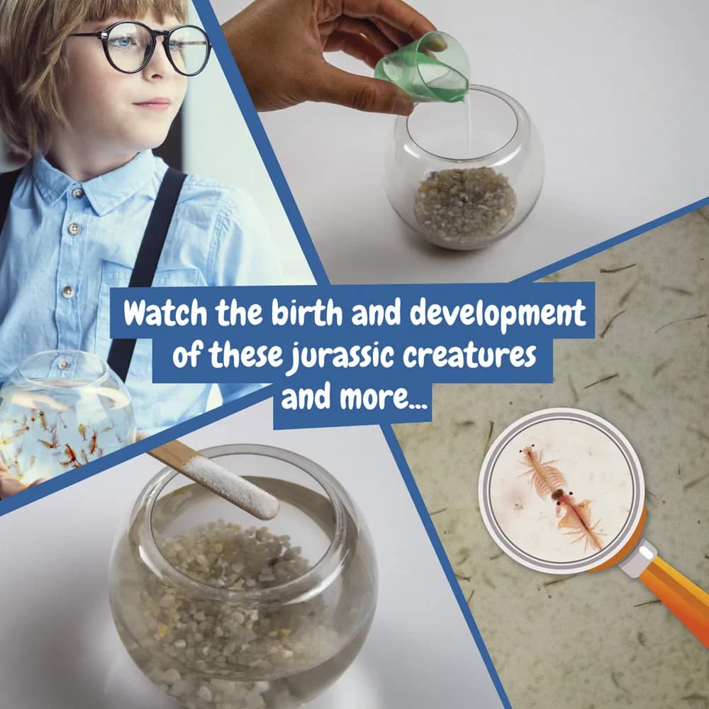 Lernspiel für Kinder - Jurassic Pets Kit I - Gemischt