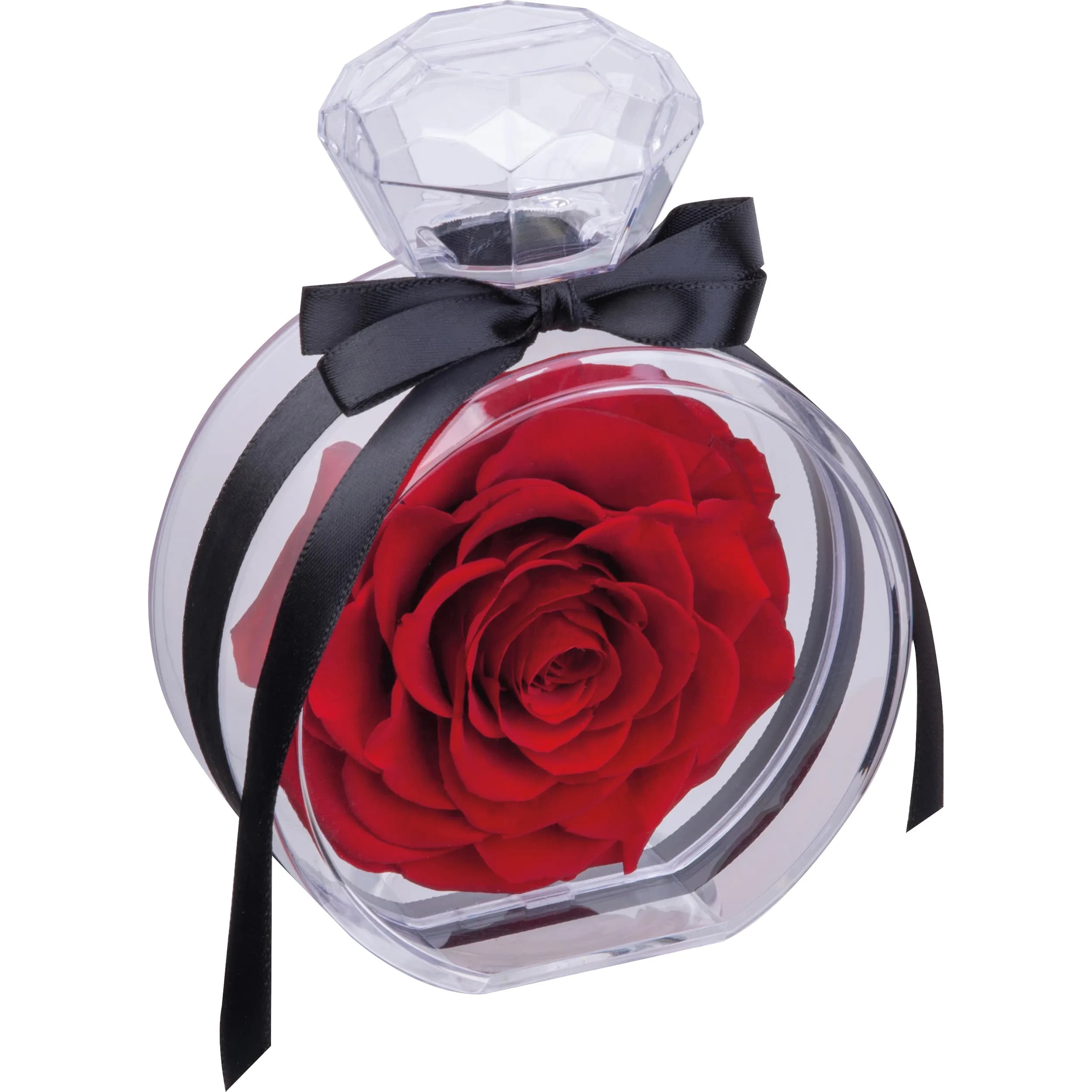 Konservierte Rose MARCELLA - rot