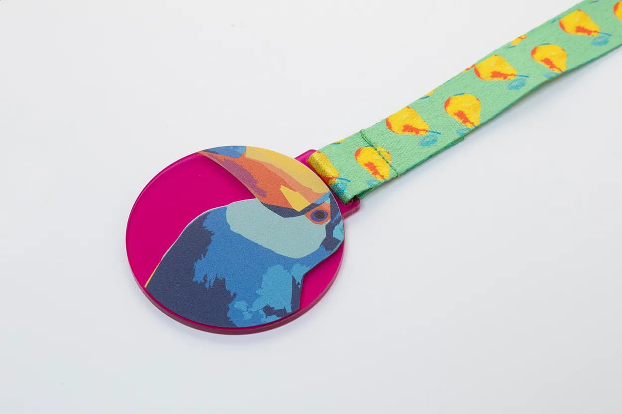 Individuelle Medaille - Subdal Colour - pink/transparent (-25T)