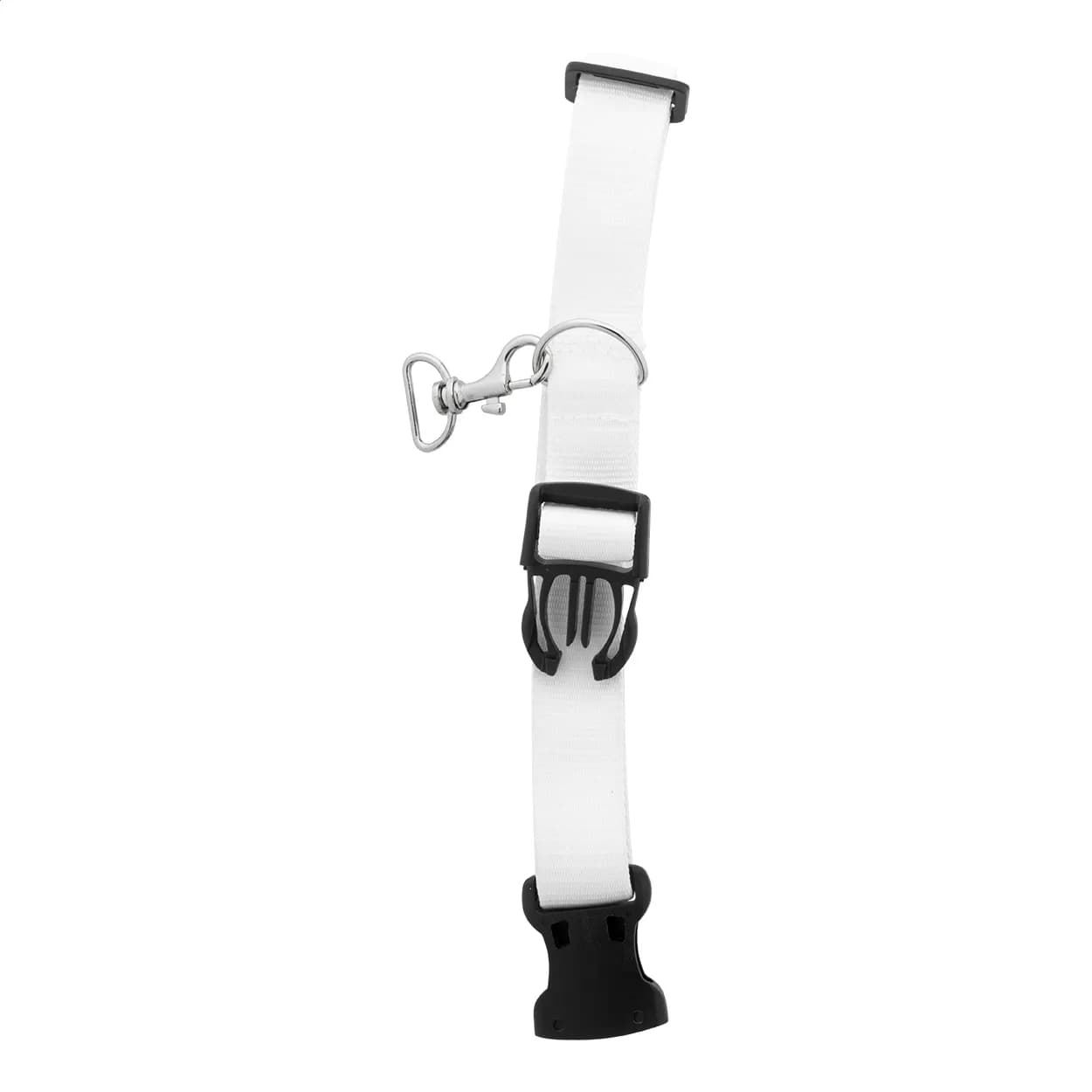 Individuelles Hundehalsband - Ziggy - weiß