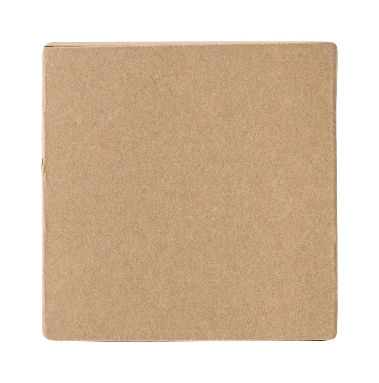 Individuelle Visitenkarten - Visicard Square Eco - natur