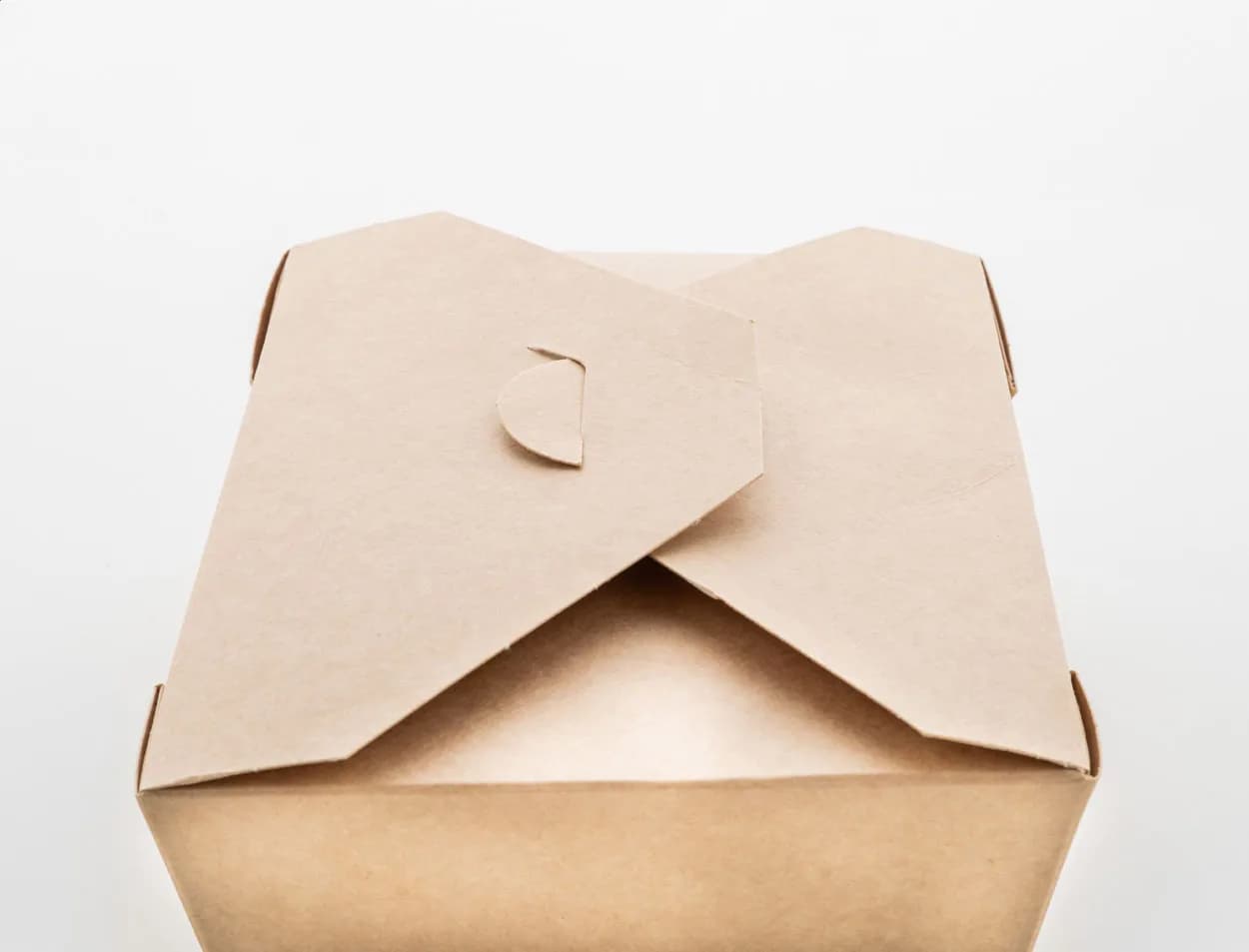 Foodbox - Delibox 1300 - natur (-00)