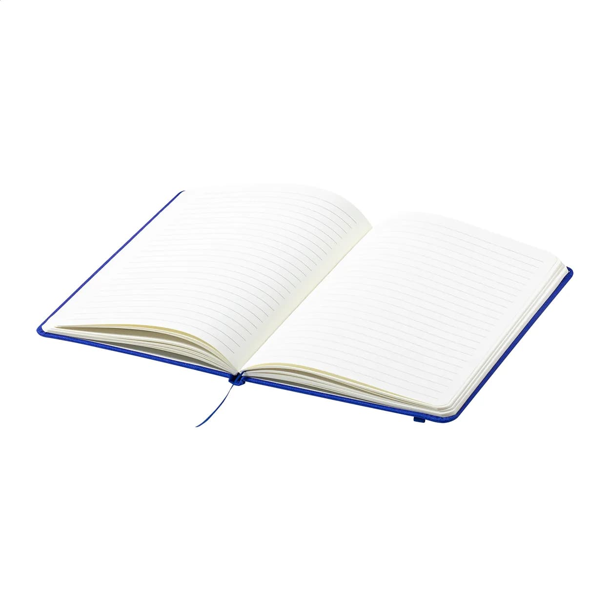 RPET-Notizbuch - Baccata - blau (-06)