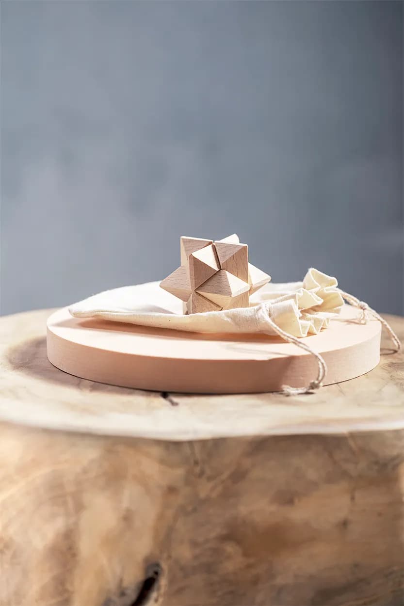 Geschicklichkeitsspiel - Magrax - natur