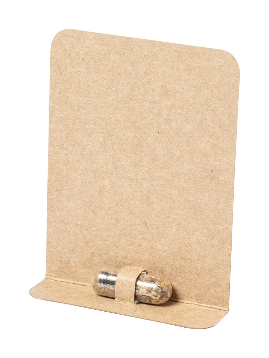 Pflanz-Set - Flocca - natur