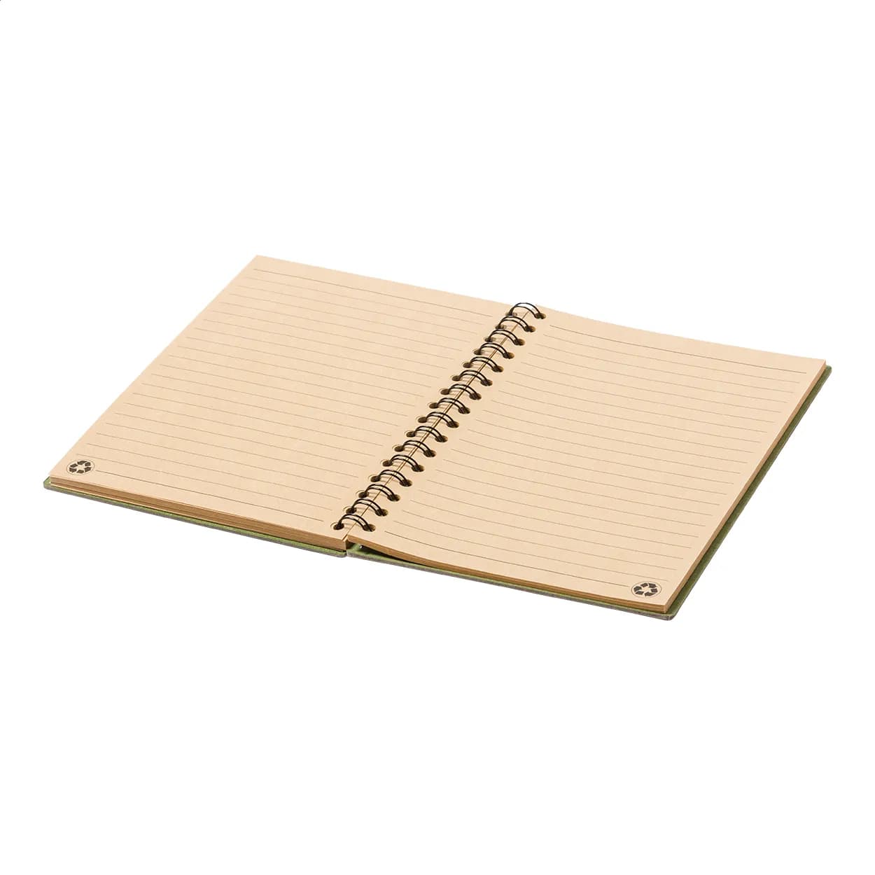 Notizbuch - Biloba - natur (-00)