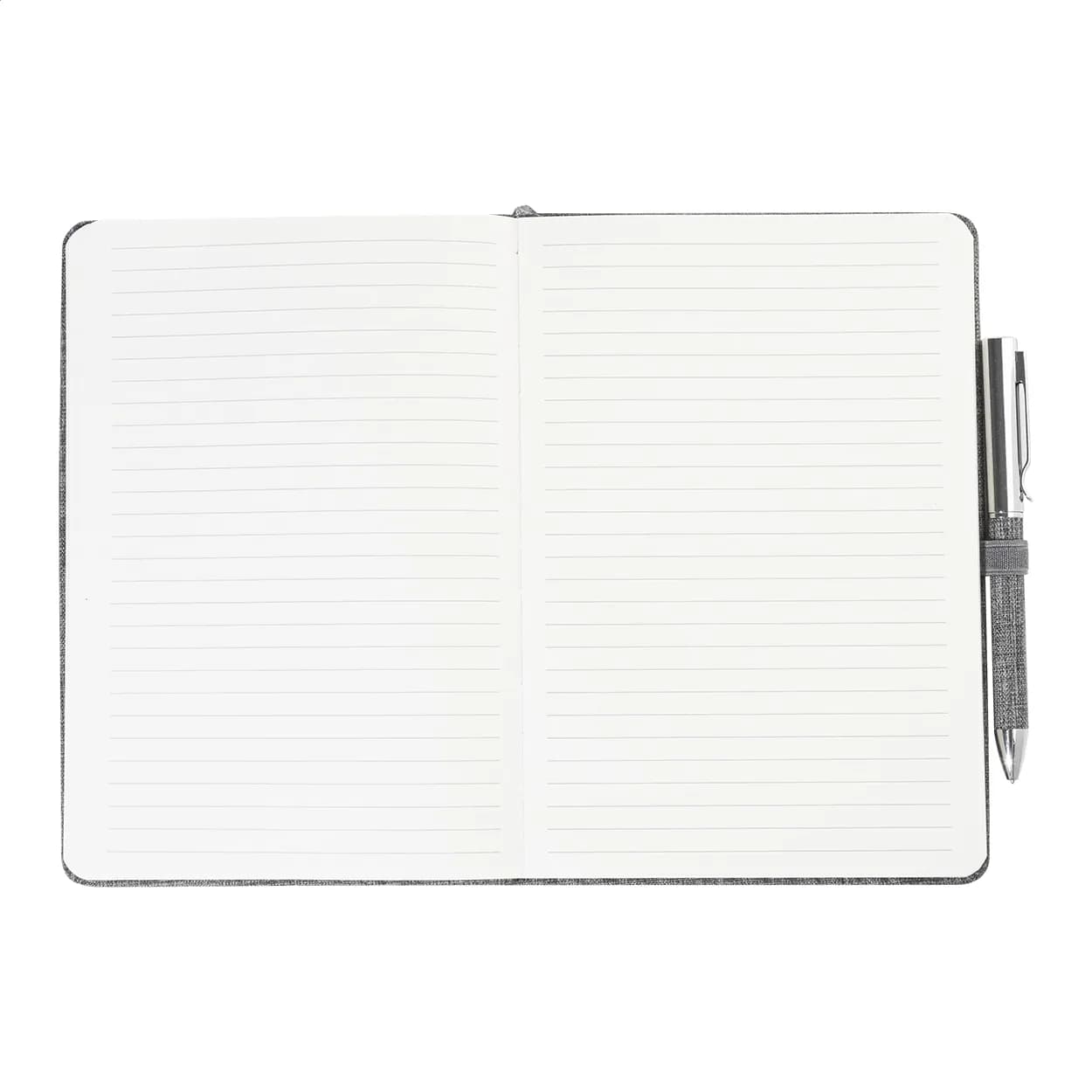 Notizbuch-Set - Spinosa - grau (-77)