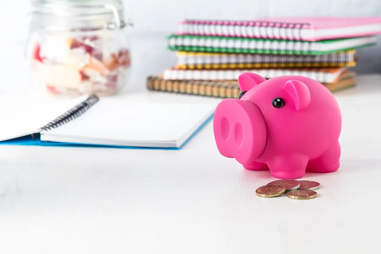 Sparschwein - Oiban - pink (-25)