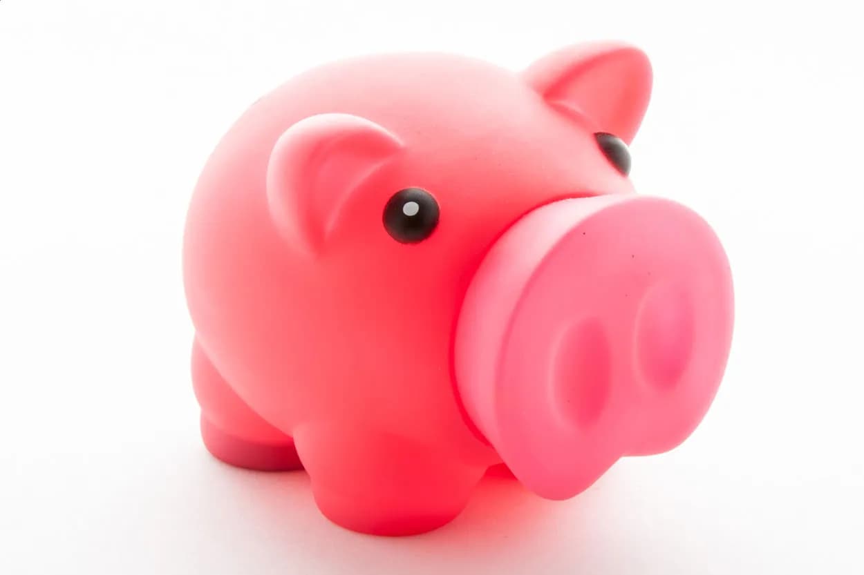 Sparschwein - Oiban - pink (-25)