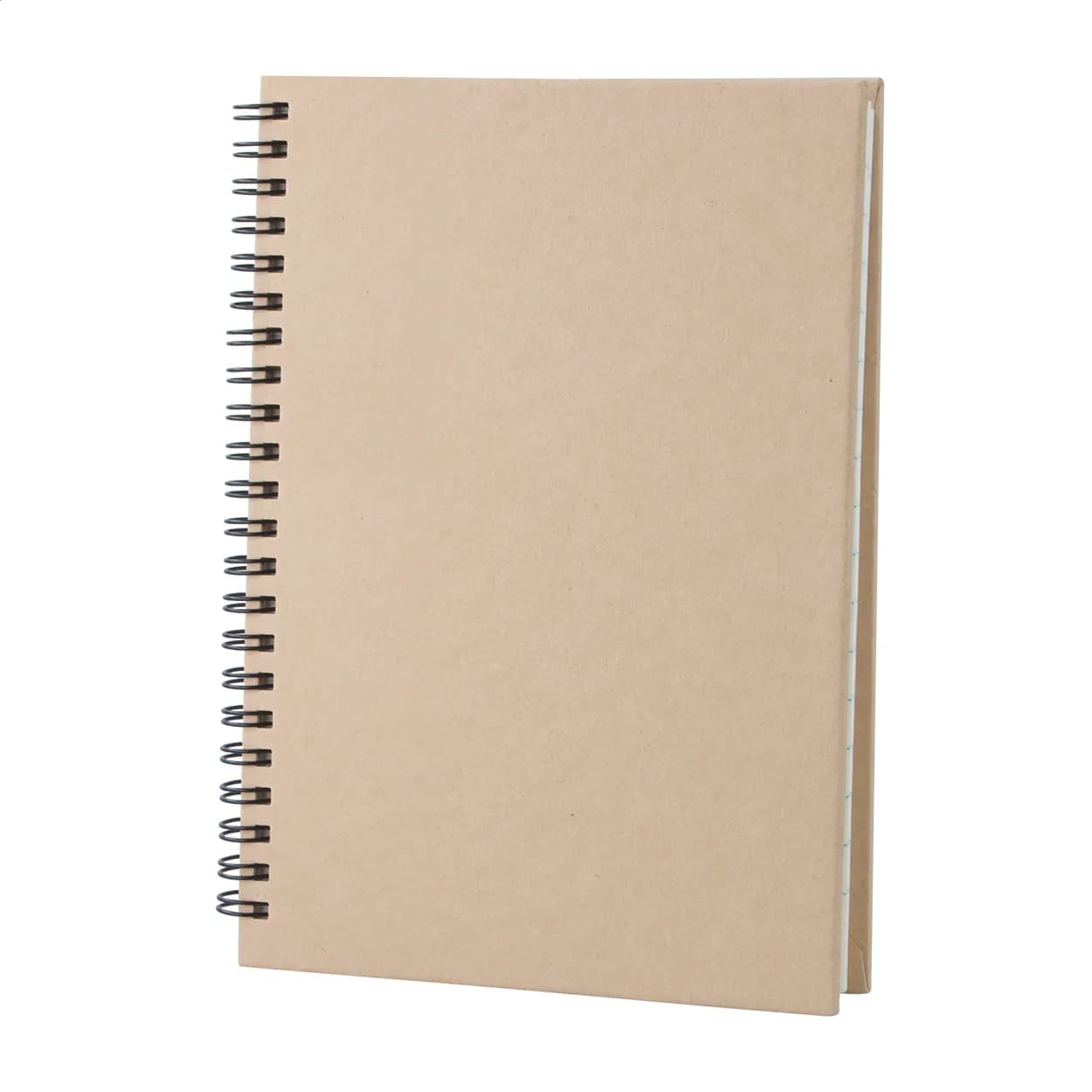 Notizbuch - Cedrus A5 - beige (-00)
