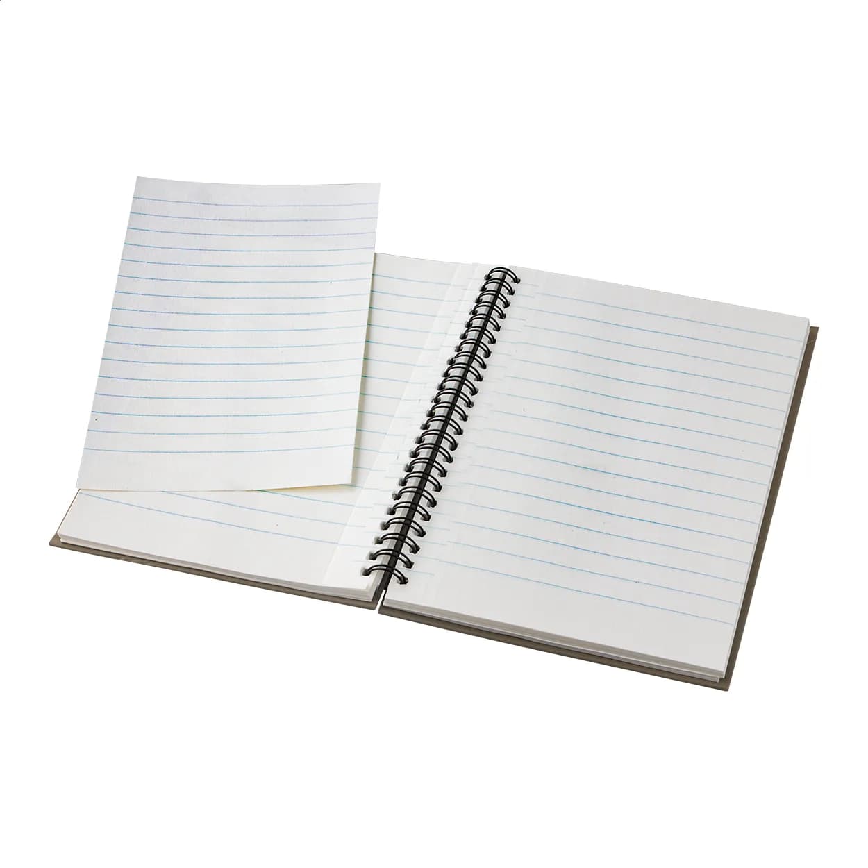 Notizbuch - Cedrus A5 - beige (-00)