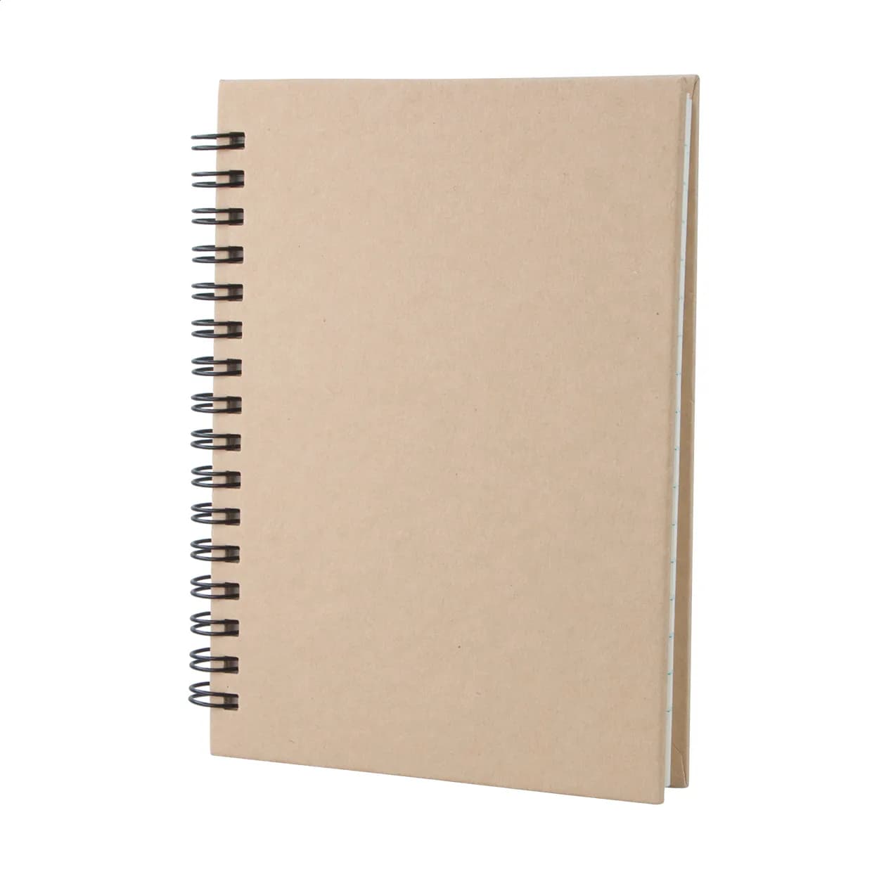 Notizbuch - Cedrus A6 - beige (-00)