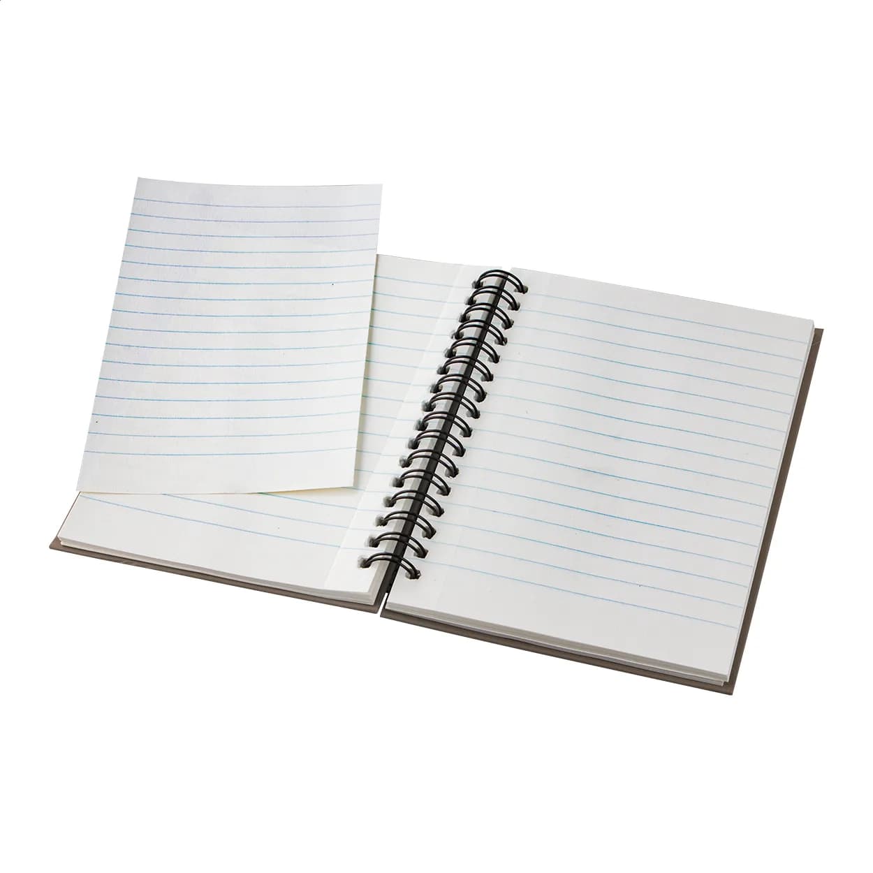 Notizbuch - Cedrus A6 - beige (-00)