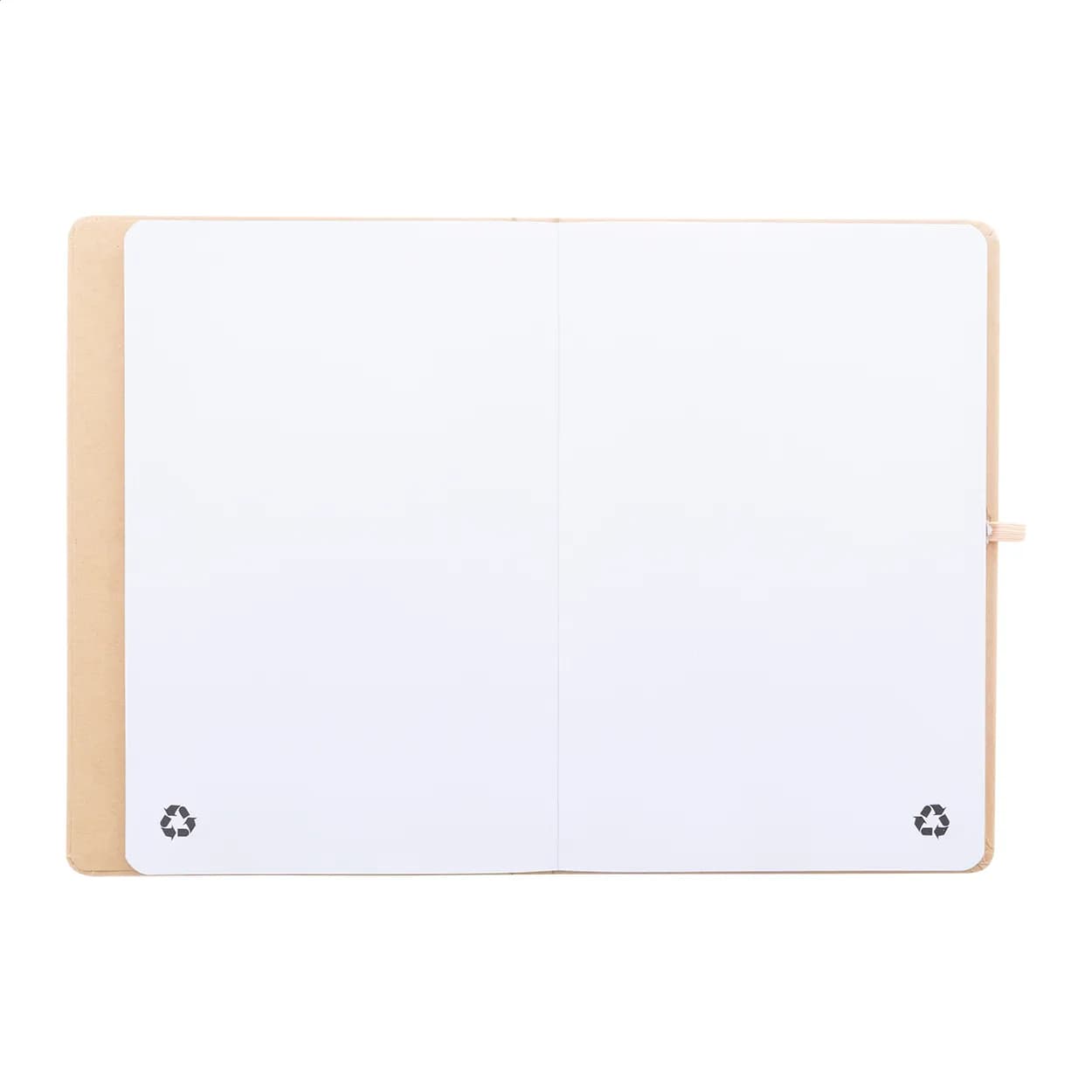 Notizbuch - Conus - natur (-00)