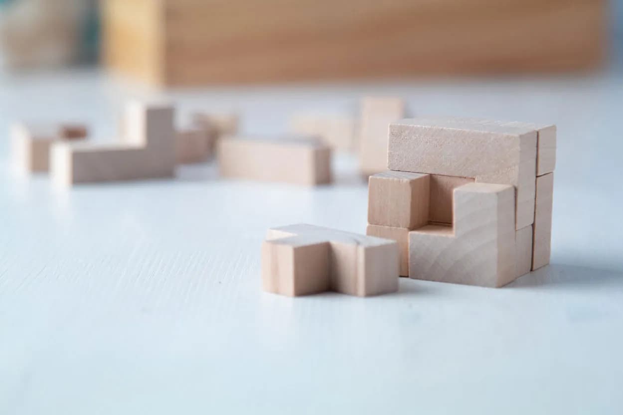 Puzzle - Leon - natur